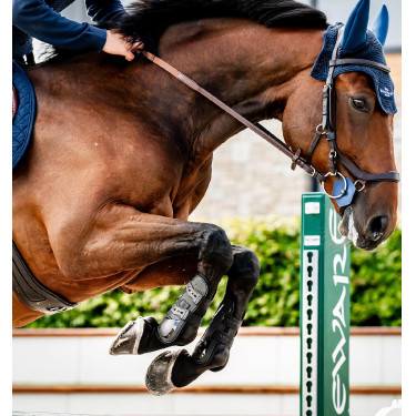 Horseware® Classic Gamaschen Schwarz / schwarz