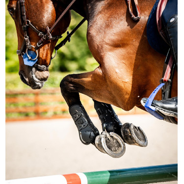 Horseware® Classic Gamaschen Schwarz / schwarz