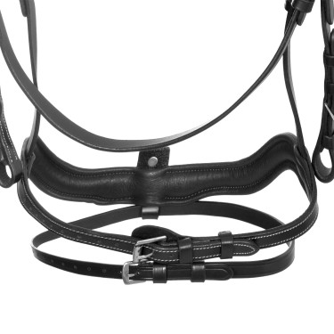 Anatomisches Equestro-Zaumzeug mit gebogener Nasenriemenführung Schwarz