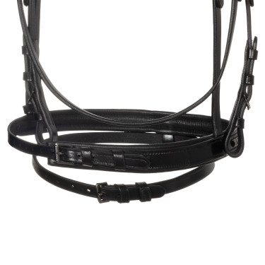 Englisches Zaumzeug Equestro aus schwarzem Leder Schwarz