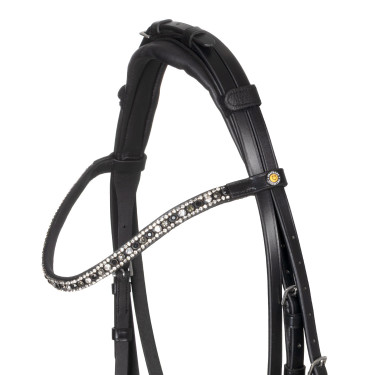 Equestro-Zaumzeug mit anatomischem Nasenriemen Schwarz