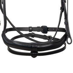 Equestro-Zaumzeug mit anatomischem Nasenriemen Schwarz