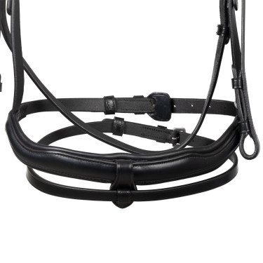 Equestro-Zaumzeug mit anatomischem Nasenriemen Schwarz