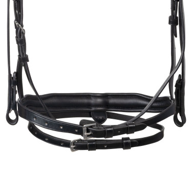 Equestro-Zaumzeug mit anatomischem Nasenriemen Schwarz