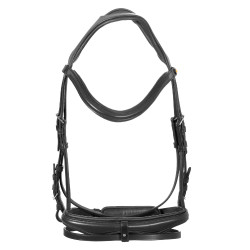 Equestro-Zaumzeug mit einfachem Reithalfter und breitem, gebogenem Genickstück Schwarz