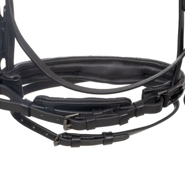 Equestro-Zaumzeug mit gebogener Vorderform Schwarz