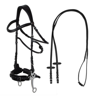 Hackamore-Zaumzeug Supreme Schwarz