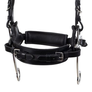 Hackamore-Zaumzeug Supreme Schwarz