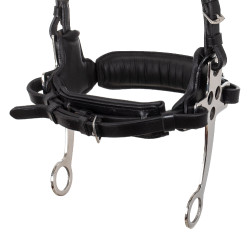Hackamore-Zaumzeug Supreme Schwarz