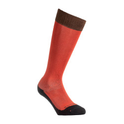 Unisex Equestro Basic Socken aus technischem Gewebe Redwood / Braun Unisex Equestro Basic Socken aus technischem Gewebe Redwood / Braun