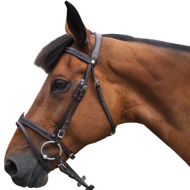 Trensenzaum Canter Schwarz Strass Trensenzaum Canter Schwarz Strass