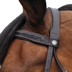Trensenzaum Canter Schwarz Strass Trensenzaum Canter Schwarz Strass