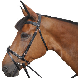 Trensenzaum Canter ROSE GOLD