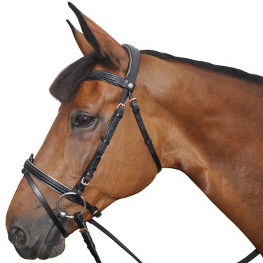 Trensenzaum Canter ROSE GOLD