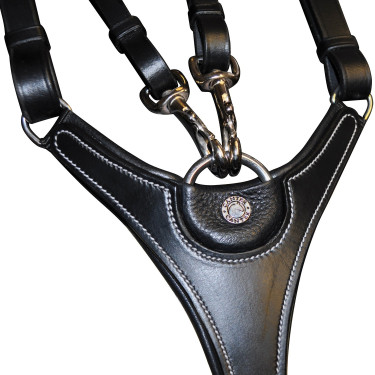 Brustblatt Canter Brustblatt Canter