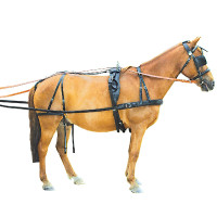 Harnais continental Chetak Noir