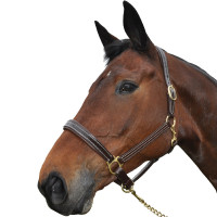 Halfter Chetak BRIGHT Schwarz