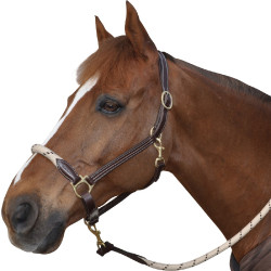 Canter Strickhalfter