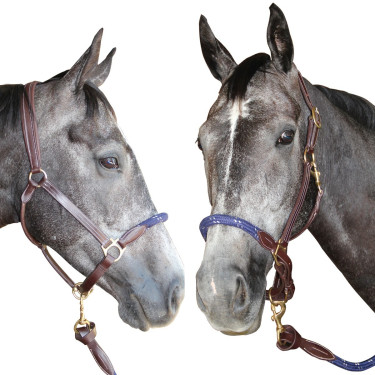 Canter Strickhalfter Canter Strickhalfter