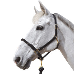 Canter Strickhalfter Canter Strickhalfter