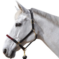 Licol corde Canter Marron / marine