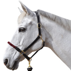 Canter Strickhalfter Canter Strickhalfter
