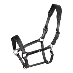 Anatomisches Equestro-Lederhalfter Diamond Schwarz