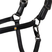 Anatomisches Equestro-Lederhalfter Diamond Schwarz