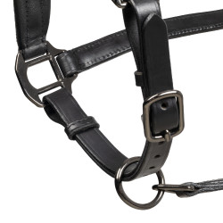 Anatomisches Equestro-Lederhalfter Diamond Schwarz