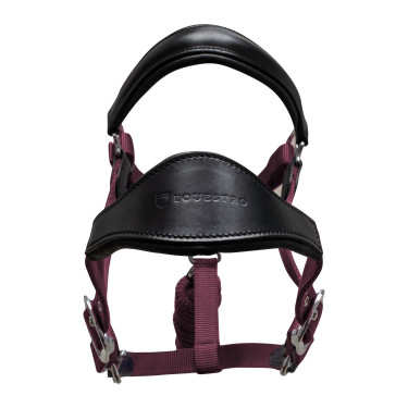 Ergonomisches Equestro-Halfter mit Ledereinsätzen Schwarz / Bordeaux