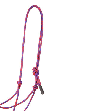 Halfter Pool’s Motiv Waves Rosa / Violett Lila