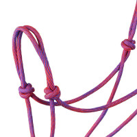 Halfter Pool’s Motiv Waves Rosa / Violett Lila