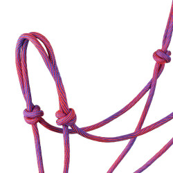 Halfter Pool’s Motiv Waves Rosa / Violett Lila