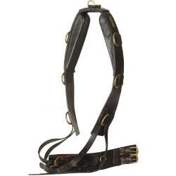 Arbeitsgurt Leder mit Polstern Chetak Arbeitsgurt Leder mit Polstern Chetak