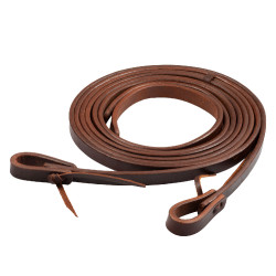 Getrennte Zügel Pool’s 3/4" Geölt