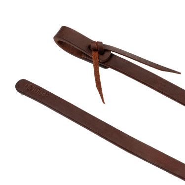 Getrennte Zügel Pool’s 3/4" Geölt