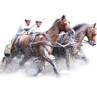 Harnais MARATHON anatomique double Eric Le Tixerant Noir / newmarket