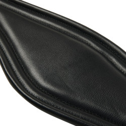 Equestro Ledersprunggurt mit Elastiken Schwarz