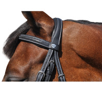 Bridon Flags & Cup Helsinki Noir Bridon Flags & Cup Helsinki Noir