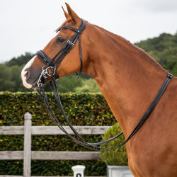 Trense Dy'on Kollektion Dressur flaches Leder Reithalfter Breit Lackiert