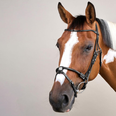 Rundes Lederzaumzeug Working By Dy'on Schwarz Rundes Lederzaumzeug Working By Dy'on Schwarz