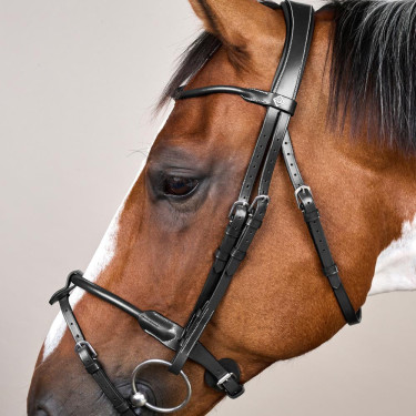 Rundes Lederzaumzeug Working By Dy'on Schwarz Rundes Lederzaumzeug Working By Dy'on Schwarz