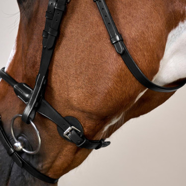 Rundes Lederzaumzeug Working By Dy'on Schwarz Rundes Lederzaumzeug Working By Dy'on Schwarz