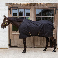 Außendecke All Weather wasserdicht Classic Kentucky Schwarz
