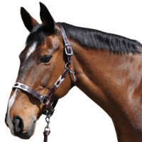 Licol Flags & Cup Chukka Moka / choco / taupe Licol Flags & Cup Chukka Moka / choco / taupe