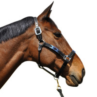 Licol Flags & Cup Chukka Moka / choco / taupe Licol Flags & Cup Chukka Moka / choco / taupe