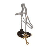 Hackamore Dy'on Schwarz