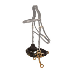 Hackamore Dy'on Schwarz