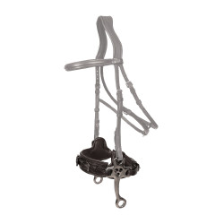 Hackamore Dy'on New English Schwarz