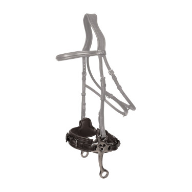 Hackamore Dy'on New English Schwarz